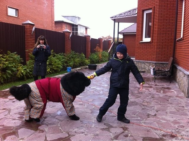 Фотография № 80095