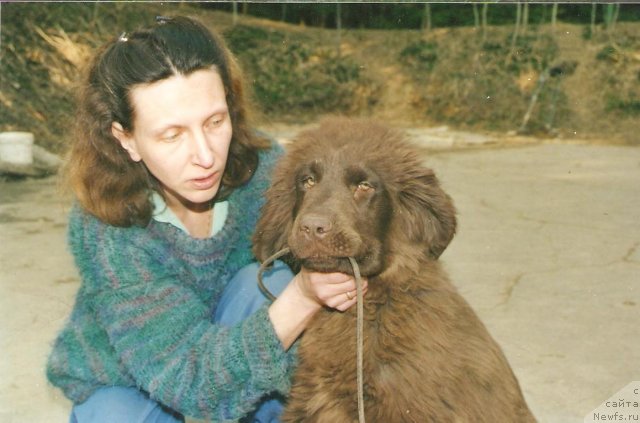 Фотография № 80115