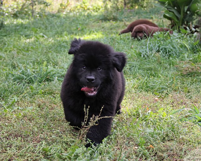 Фотография № 80124