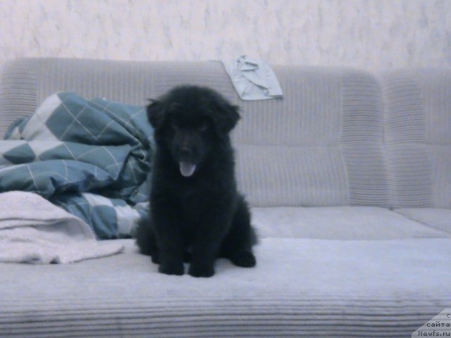 Фотография № 80144