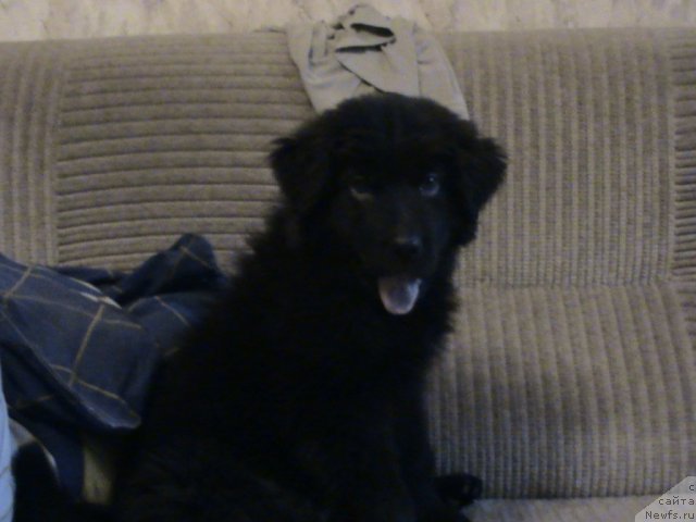 Фотография № 80146