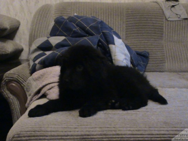 Фотография № 80148