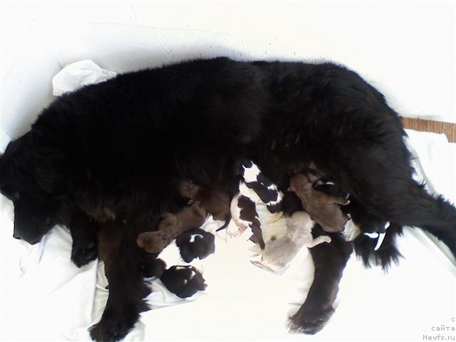 Фотография № 80157