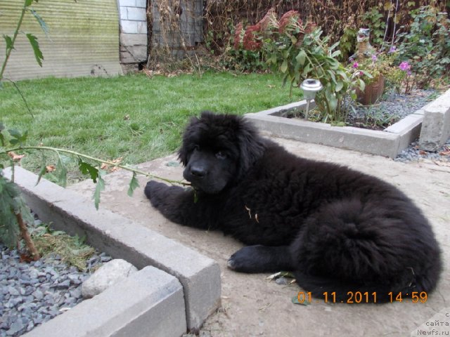 Фотография № 80194