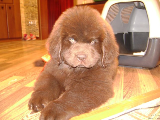 Фото: Акватория Келвин Селебрейшн