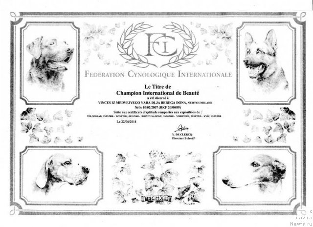 Фотография № 80235