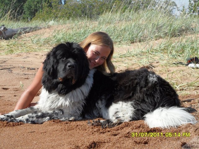 Фотография № 80255