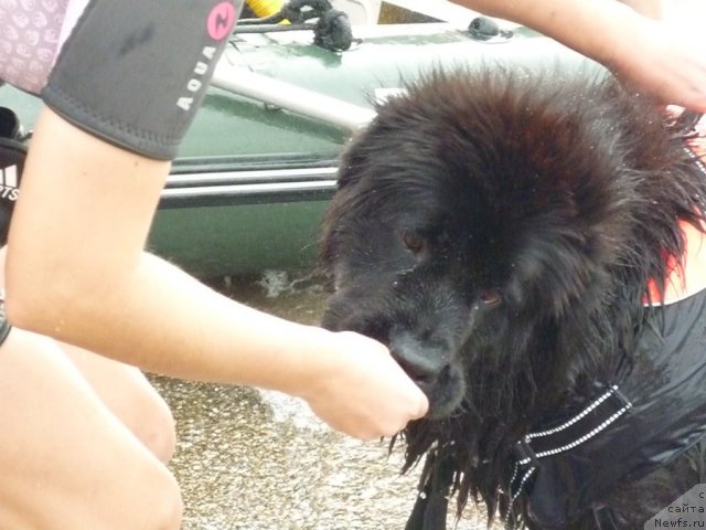 Фотография № 80265