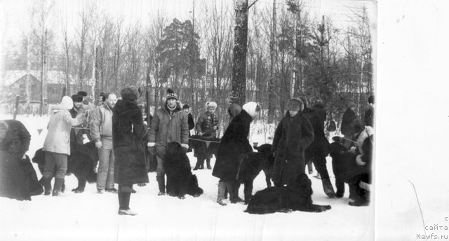 Фотография № 80268