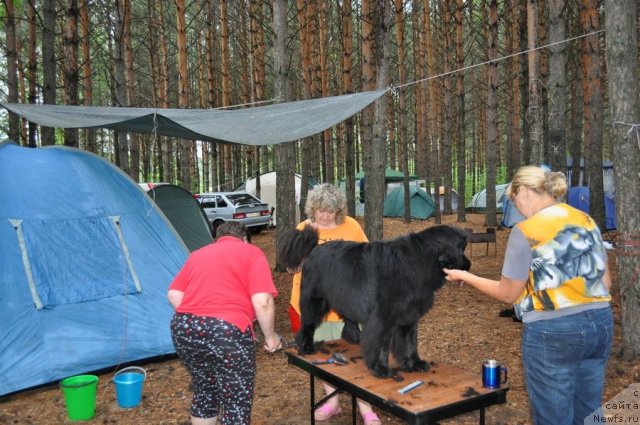 Фотография № 80279