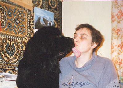 Фото: ньюфаундленд Lene's Black Berry, Наталья Потехина