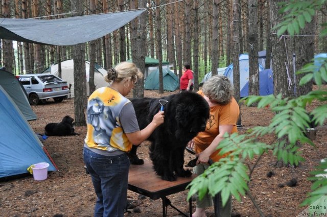 Фотография № 80280