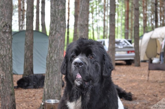 Фотография № 80285