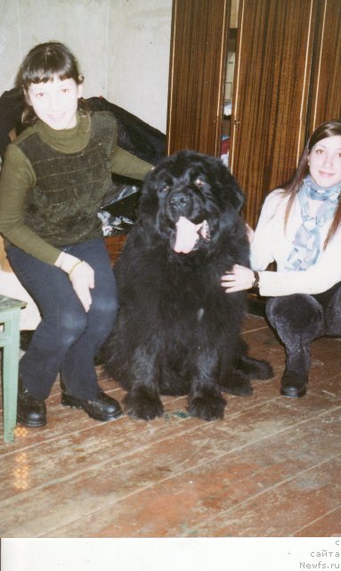 Фотография № 80287