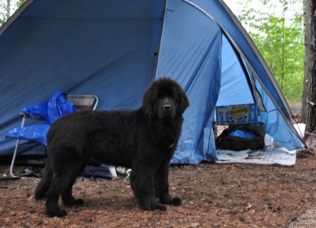 Фотография № 80291