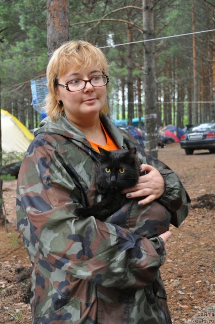 Фотография № 80293