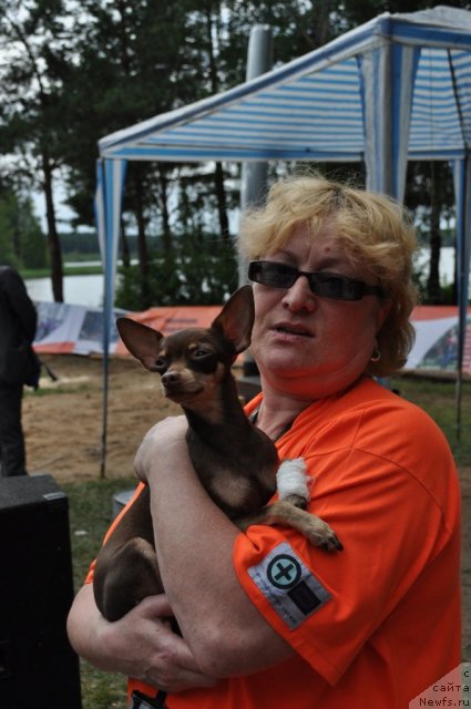 Фотография № 80296