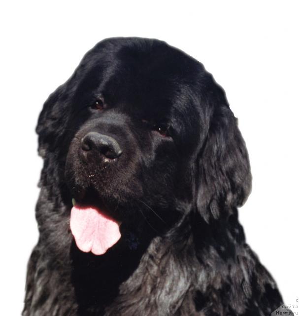 Фотография № 8032