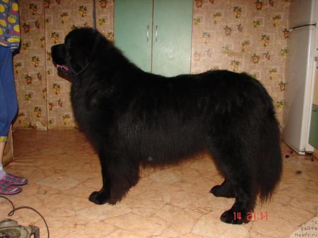 Фото: Елена Воробьёва