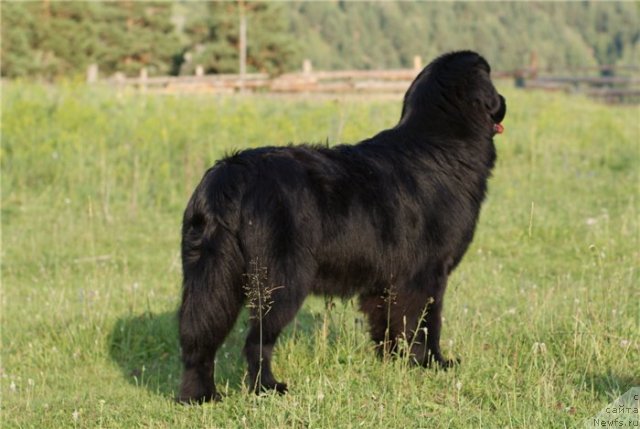 Фотография № 80376