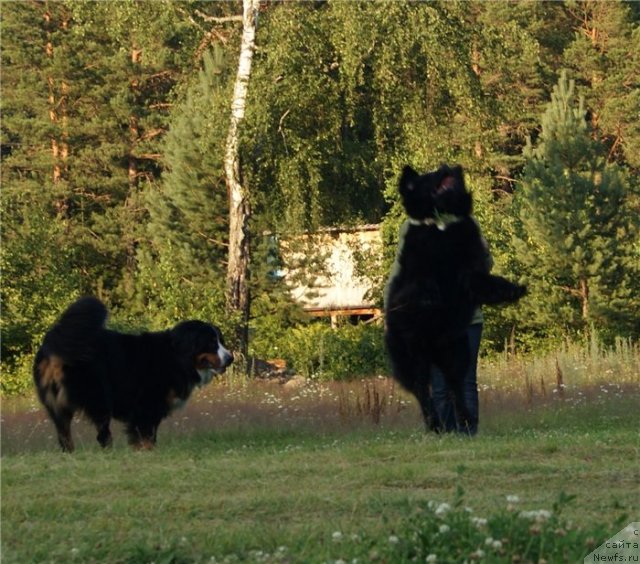 Фотография № 80380