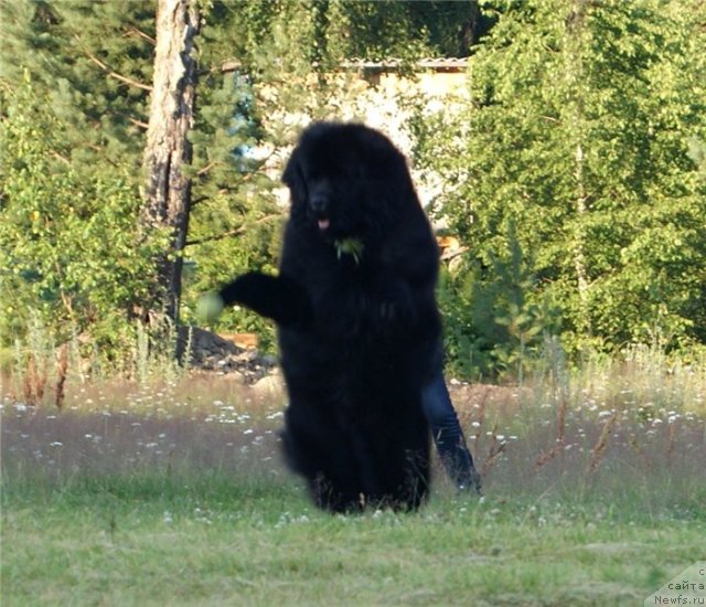 Фотография № 80381