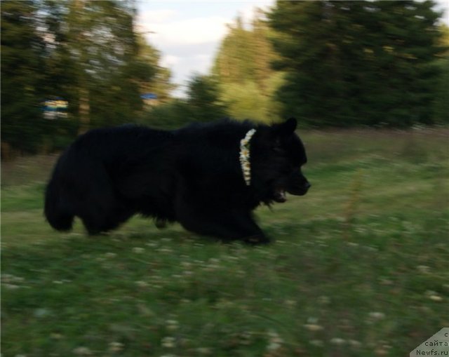 Фотография № 80383