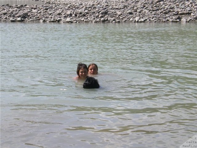 Фотография № 80392