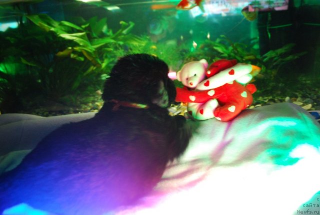 Фото: Наталья Смирнова