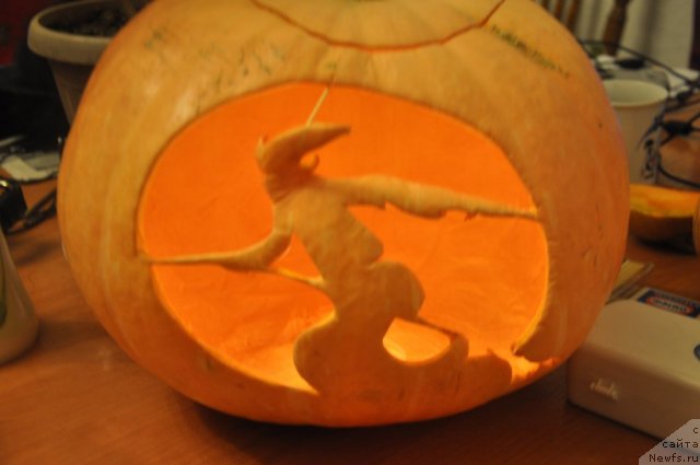 Фотография № 80437