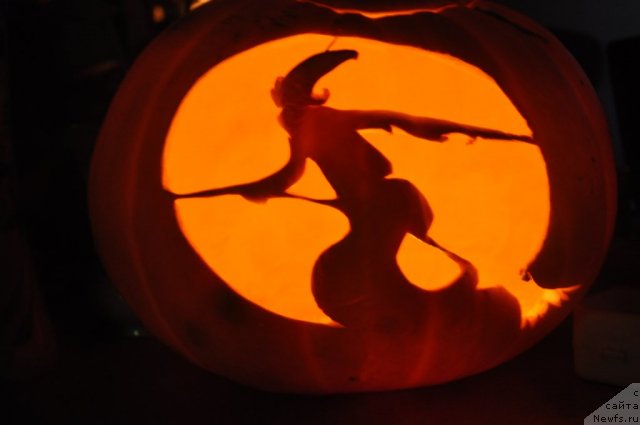 Фотография № 80438