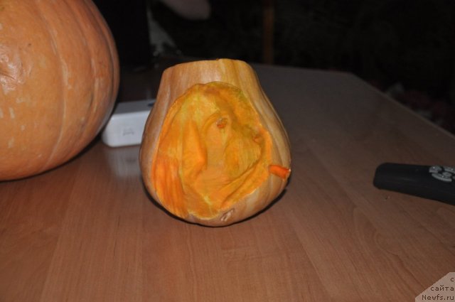 Фотография № 80439