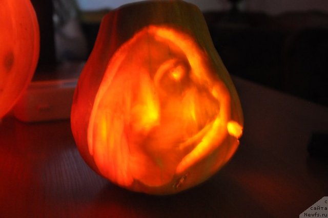 Фотография № 80440