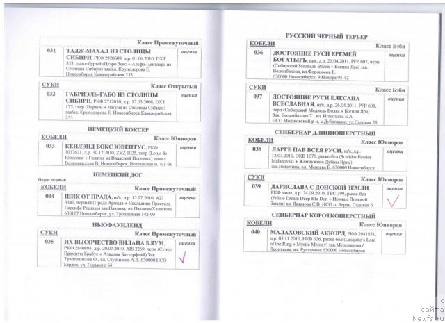 Фотография № 80493