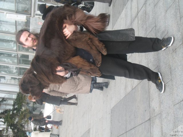 Фото: Андрей Лебедев