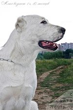 Фото: Валерия Гуляева