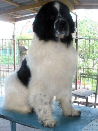 Фото: Елена Прейс