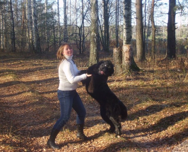 Фото: Любовь Панова