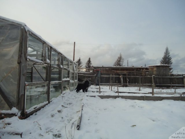 Фотография № 80650