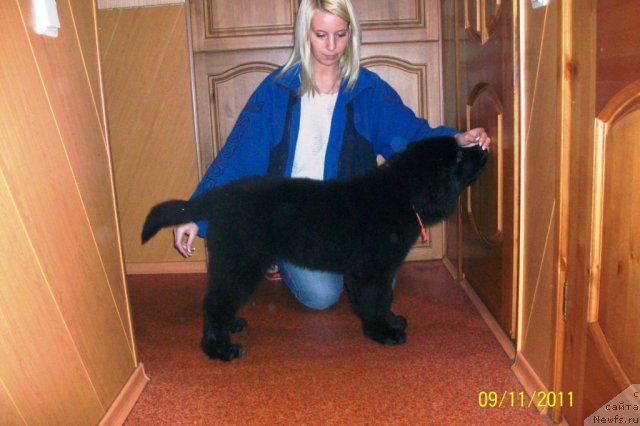 Фотография № 80689