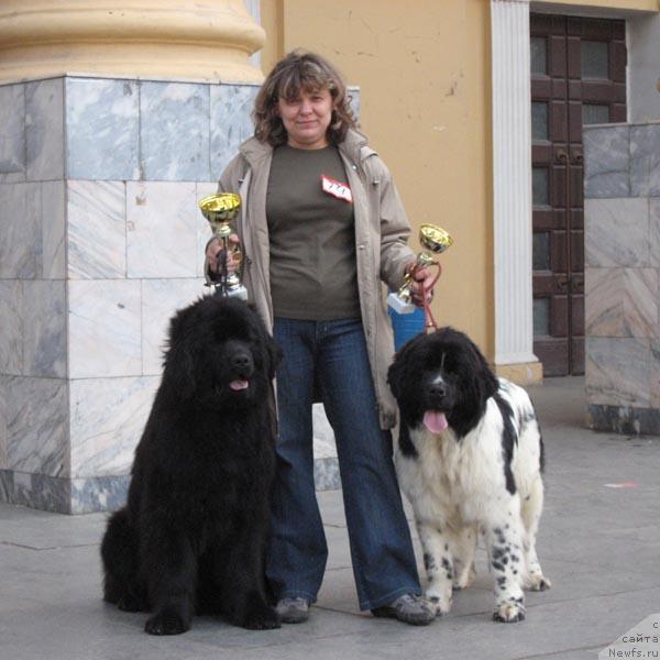 Фото: ньюфаундленд Жемчужина Ростова с Берега Дона (Zhemchuzhina Rostova s Berega Dona), ньюфаундленд Плюшевая Панда Дениза для Берега Дона (Plushevaya Panda Deniza Dlja  Berega Dona), Наталья Татаринова