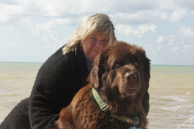 Фото: Наталья Малинина, ньюфаундленд Смигар Ришель Леди Фортуна (Smigar Rishel Lady Fortuna)