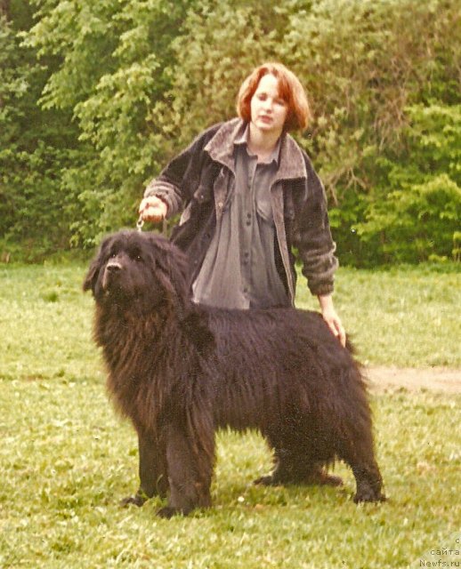 Фотография № 80750