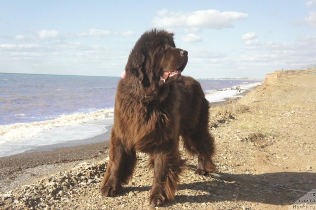 Фотография № 80767