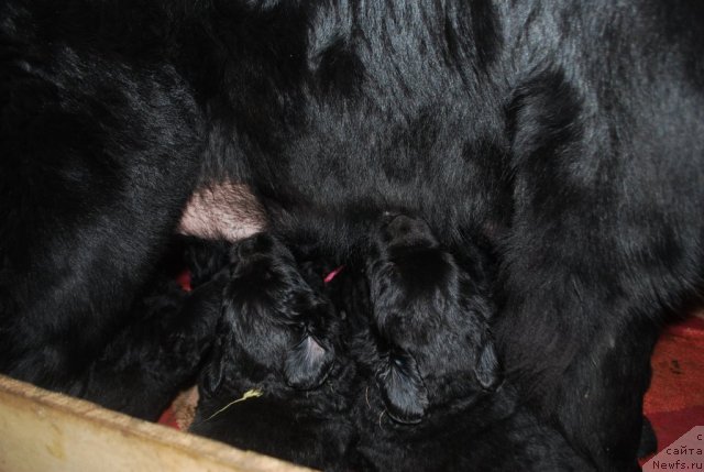 Фото: Наталья Смирнова