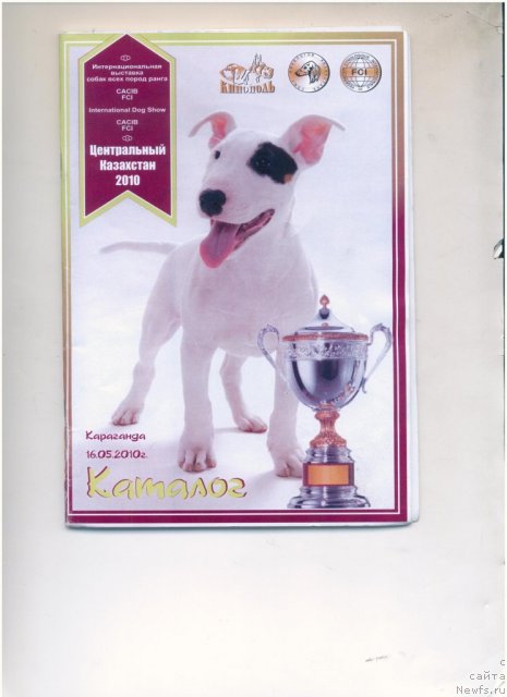 Фотография № 80828