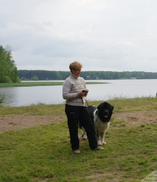 Фото: ньюфаундленд Кипер Соул Жемчужина Белая, Марина Девятова