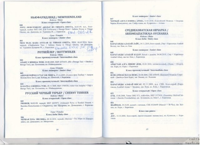 Фотография № 80844