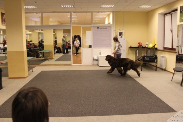 Фотография № 80856