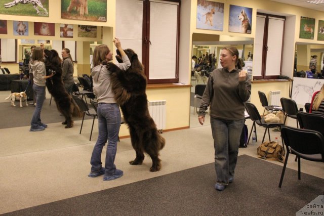 Фотография № 80857